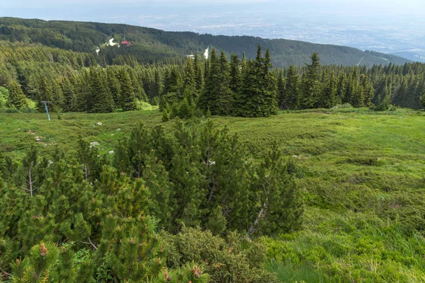 Paesaggio Incredibile Con Verdi Colline Vitosha Mountain Sofia City Region — Foto Stock