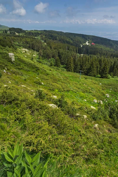 Удивительный Пейзаж Зелеными Холмами Горе Витоша София Район Города Болгария — стоковое фото