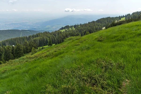 Úžasná Krajina Zelenými Kopci Pohoří Vitoša Region Města Sofia Bulharsko — Stock fotografie