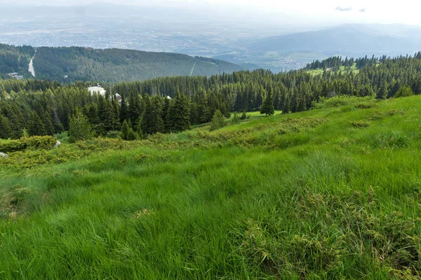 Paesaggio Incredibile Con Verdi Colline Vitosha Mountain Sofia City Region — Foto Stock