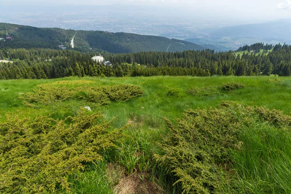 Paesaggio Incredibile Con Verdi Colline Vitosha Mountain Sofia City Region — Foto Stock