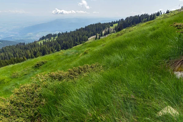 Erstaunliche Landschaft Mit Grünen Hügeln Vitosha Gebirge Sofia Stadtregion Bulgarien — Stockfoto