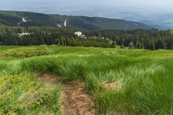 Verbazingwekkende Landschap Met Groene Heuvels Vitosha Mountain Stadsregio Sofia Bulgarije — Stockfoto