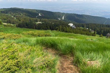 Panorama ile yeşil hills adlı Vitosha Mountain, Sofya şehir bölge, Bulgaristan