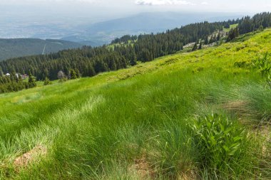 Panorama ile yeşil hills adlı Vitosha Mountain, Sofya şehir bölge, Bulgaristan