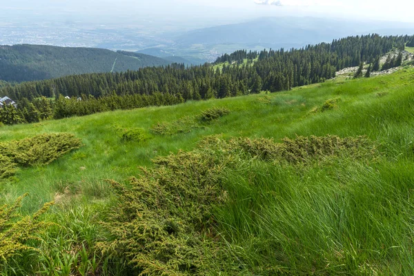 Panorama Mit Grünen Hügeln Vitosha Berg Sofia Stadtregion Bulgarien — Stockfoto