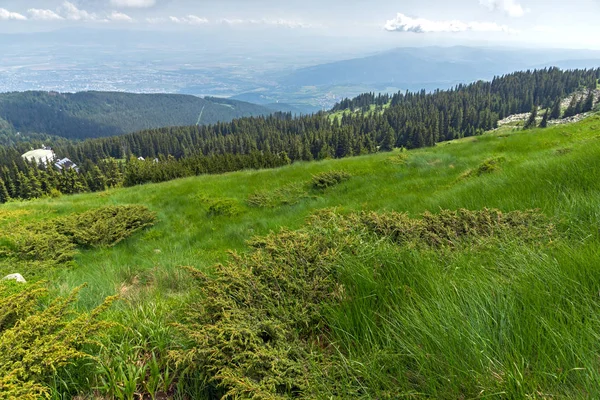 ヴィトシャ山は ソフィア都市地域 ブルガリアで緑の丘のパノラマ — ストック写真