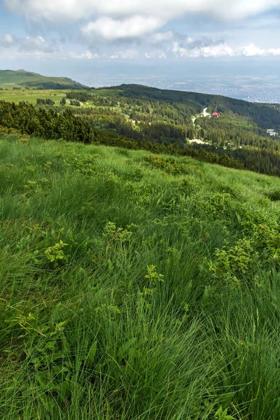 位于保加利亚索非亚 Vitosha 山的绿色丘陵全景 — 图库照片