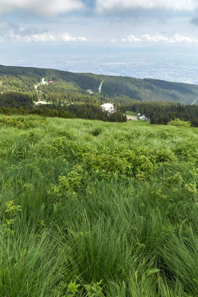 位于保加利亚索非亚 Vitosha 山的绿色丘陵全景 — 图库照片