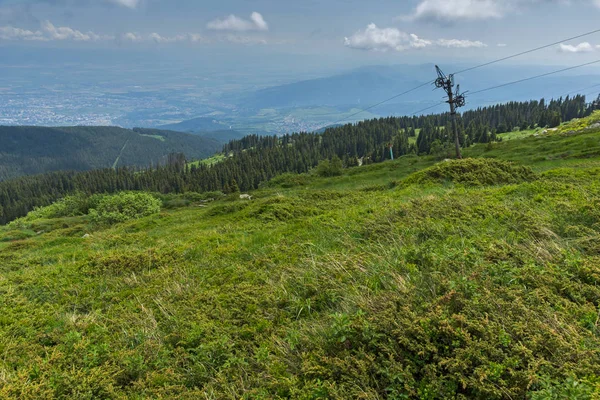 Panorama Mit Grünen Hügeln Vitosha Berg Sofia Stadtregion Bulgarien — Stockfoto