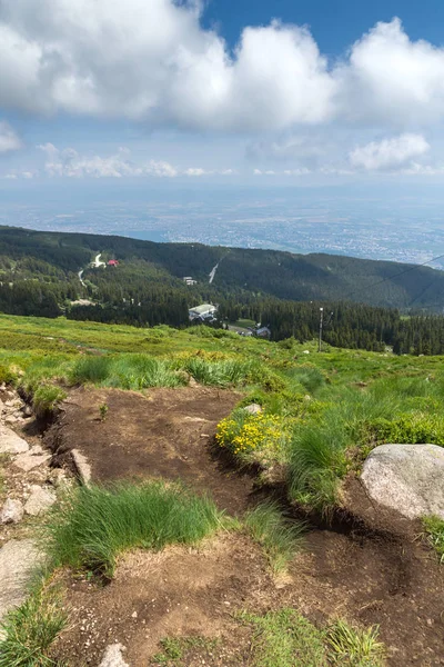 Panorama Ile Yeşil Hills Adlı Vitosha Mountain Sofya Şehir Bölge — Stok fotoğraf