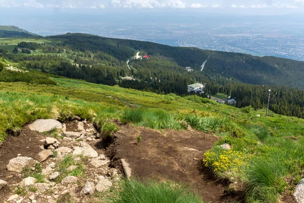 Panorama Ile Yeşil Hills Adlı Vitosha Mountain Sofya Şehir Bölge — Stok fotoğraf