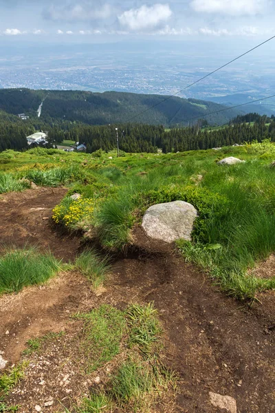 Panorama Zielonych Wzgórz Góry Witosza Region Miasta Sofia Bułgaria — Zdjęcie stockowe