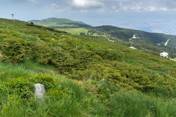 Panorama Zelenými Kopci Pohoří Vitoša Region Města Sofia Bulharsko — Stock fotografie
