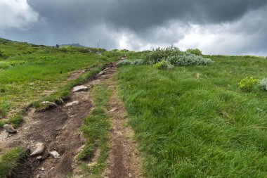 Vitosha Mountain, Sofya şehir bölge, Bulgaristan'ın tepeleri ile manzara