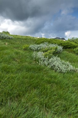 Vitosha Mountain, Sofya şehir bölge, Bulgaristan'ın tepeleri ile manzara