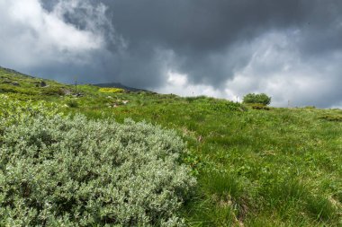 Vitosha Mountain, Sofya şehir bölge, Bulgaristan'ın tepeleri ile manzara
