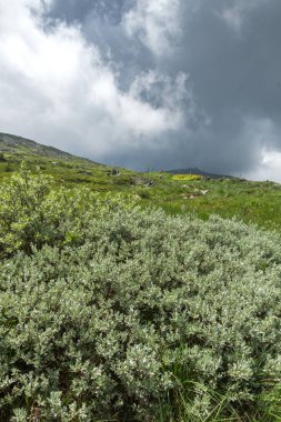 Vitosha Mountain, Sofya şehir bölge, Bulgaristan'ın tepeleri ile manzara