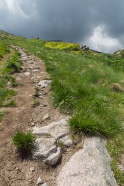 Vitosha Mountain, Sofya şehir bölge, Bulgaristan'ın tepeleri ile manzara