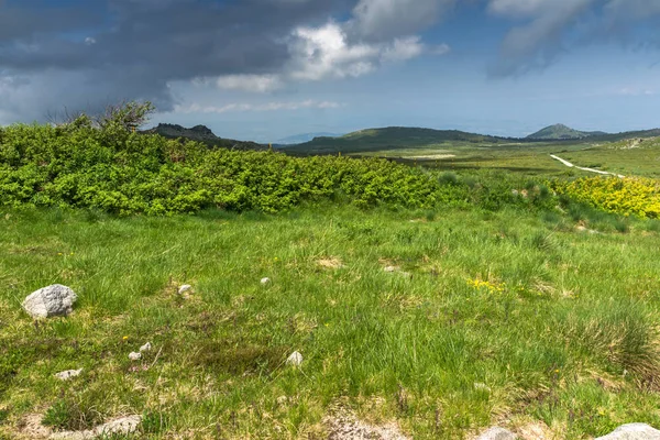 Landscape with hills of Vitosha Mountain, Sofia City Region, Bulgaria