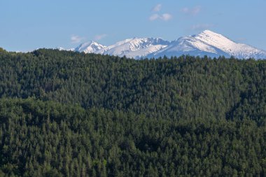 Muhteşem bahar manzara yakınındaki kaya oluşumu Stob piramitler, Rila Dağı, Köstendil bölge, Bulgaristan
