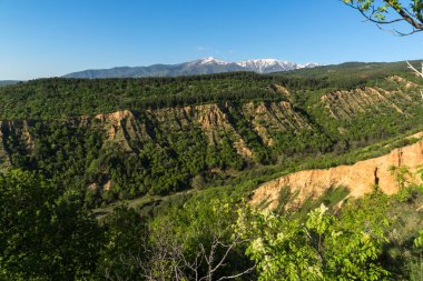 Muhteşem bahar manzara yakınındaki kaya oluşumu Stob piramitler, Rila Dağı, Köstendil bölge, Bulgaristan