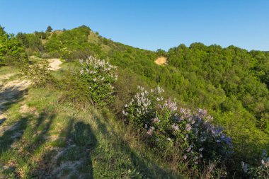 Muhteşem bahar manzara yakınındaki kaya oluşumu Stob piramitler, Rila Dağı, Köstendil bölge, Bulgaristan
