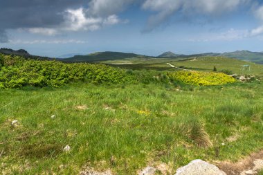 Vitosha Mountain yakınındaki Cherni Vrah tepe, Sofya şehir bölge, Bulgaristan'ın yeşil tepeleri ile Panorama