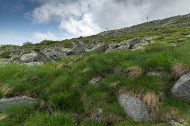 Vitosha Mountain yakınındaki Cherni Vrah tepe, Sofya şehir bölge, Bulgaristan'ın yeşil tepeleri ile Panorama