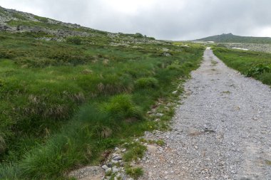 Vitosha Mountain yakınındaki Cherni Vrah tepe, Sofya şehir bölge, Bulgaristan'ın yeşil tepeleri ile Panorama