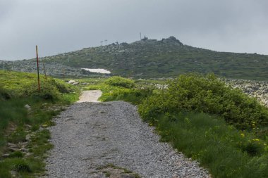 Vitosha Mountain yakınındaki Cherni Vrah tepe, Sofya şehir bölge, Bulgaristan'ın yeşil tepeleri ile Panorama