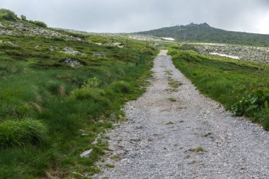Vitosha Mountain yakınındaki Cherni Vrah tepe, Sofya şehir bölge, Bulgaristan'ın yeşil tepeleri ile Panorama