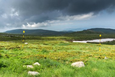 Vitosha Mountain yakınındaki Cherni Vrah tepe, Sofya şehir bölge, Bulgaristan'ın yeşil tepeleri ile Panorama