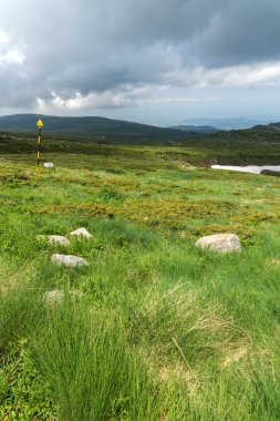 Vitosha Mountain yakınındaki Cherni Vrah tepe, Sofya şehir bölge, Bulgaristan'ın yeşil tepeleri ile Panorama