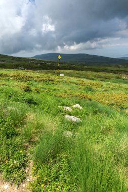 Vitosha Mountain yakınındaki Cherni Vrah tepe, Sofya şehir bölge, Bulgaristan'ın yeşil tepeleri ile Panorama