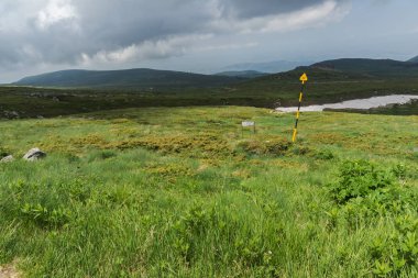 Vitosha Mountain yakınındaki Cherni Vrah tepe, Sofya şehir bölge, Bulgaristan'ın yeşil tepeleri ile Panorama