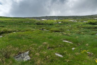 Vitosha Mountain yakınındaki Cherni Vrah tepe, Sofya şehir bölge, Bulgaristan'ın yeşil tepeleri ile Panorama