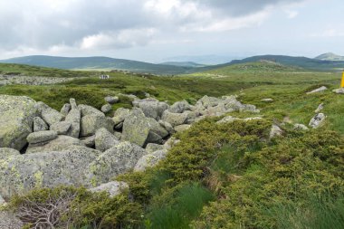 Vitosha Mountain yakınındaki Cherni Vrah tepe, Sofya şehir bölge, Bulgaristan'ın yeşil tepeleri ile Panorama