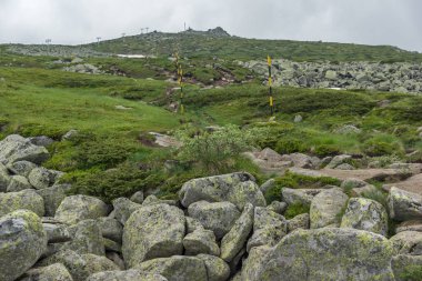 Vitosha Mountain yakınındaki Cherni Vrah tepe, Sofya şehir bölge, Bulgaristan'ın yeşil tepeleri ile Panorama