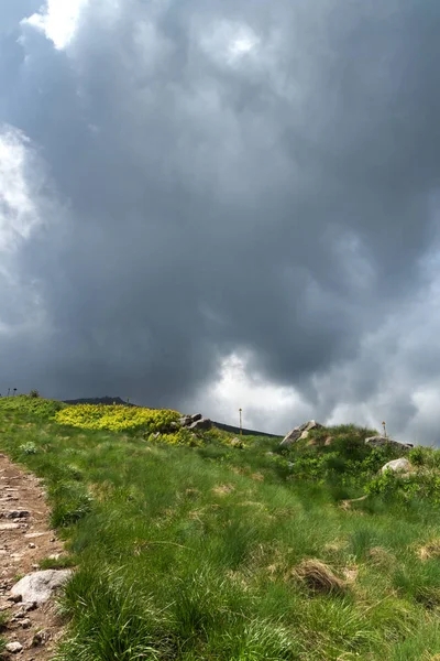 Panorama Zelenými Kopci Pohoří Vitoša Nedaleko Cherni Vrah Peak Region — Stock fotografie