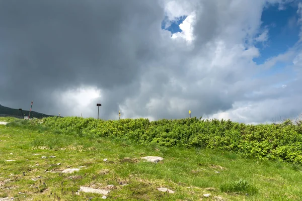 Panorama Med Gröna Kullarna Vitosha Berget Nära Cherni Vrah Peak — Stockfoto