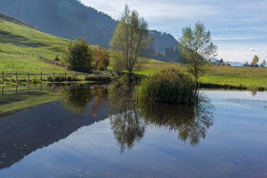 Dört kanton Gölü, mount Rigi, Alpler, Switzerland yakınındaki yukarıda yeşil çayırlar