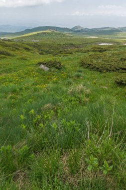 Manzara Vitosha Mountain yakınındaki Cherni Vrah tepe, Sofya şehir bölge, Bulgaristan