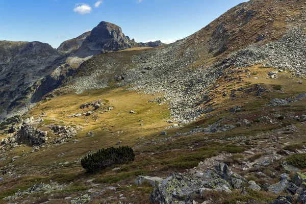 Panorama Incroyable Des Collines Vertes Montagne Rila Bulgarie — Photo