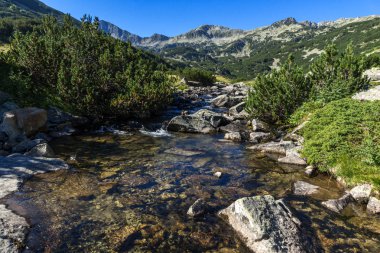 Muhteşem manzara Banderitsa Nehri, Pirin Dağı, Bulgaristan