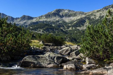 Muhteşem manzara Banderitsa Nehri, Pirin Dağı, Bulgaristan