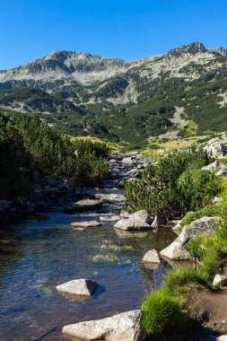 Muhteşem manzara Banderitsa Nehri, Pirin Dağı, Bulgaristan
