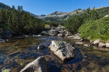 Muhteşem manzara Banderitsa Nehri, Pirin Dağı, Bulgaristan