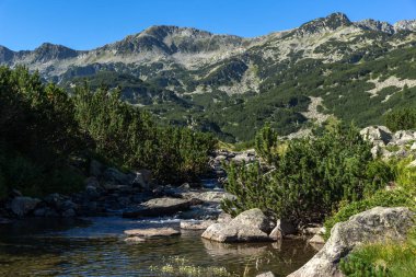 Muhteşem manzara Banderitsa Nehri, Pirin Dağı, Bulgaristan