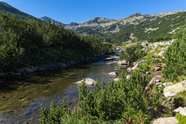 Muhteşem manzara Banderitsa Nehri, Pirin Dağı, Bulgaristan